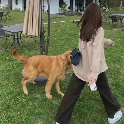 红尘